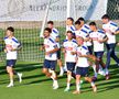 Doi jucători absenți de la antrenamentul naționalei de luni » Mircea Lucescu a pus la punct ultimele detalii
