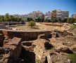 Forumul Roman din Salonic FOTO: Ionuț Iordache (GSP)