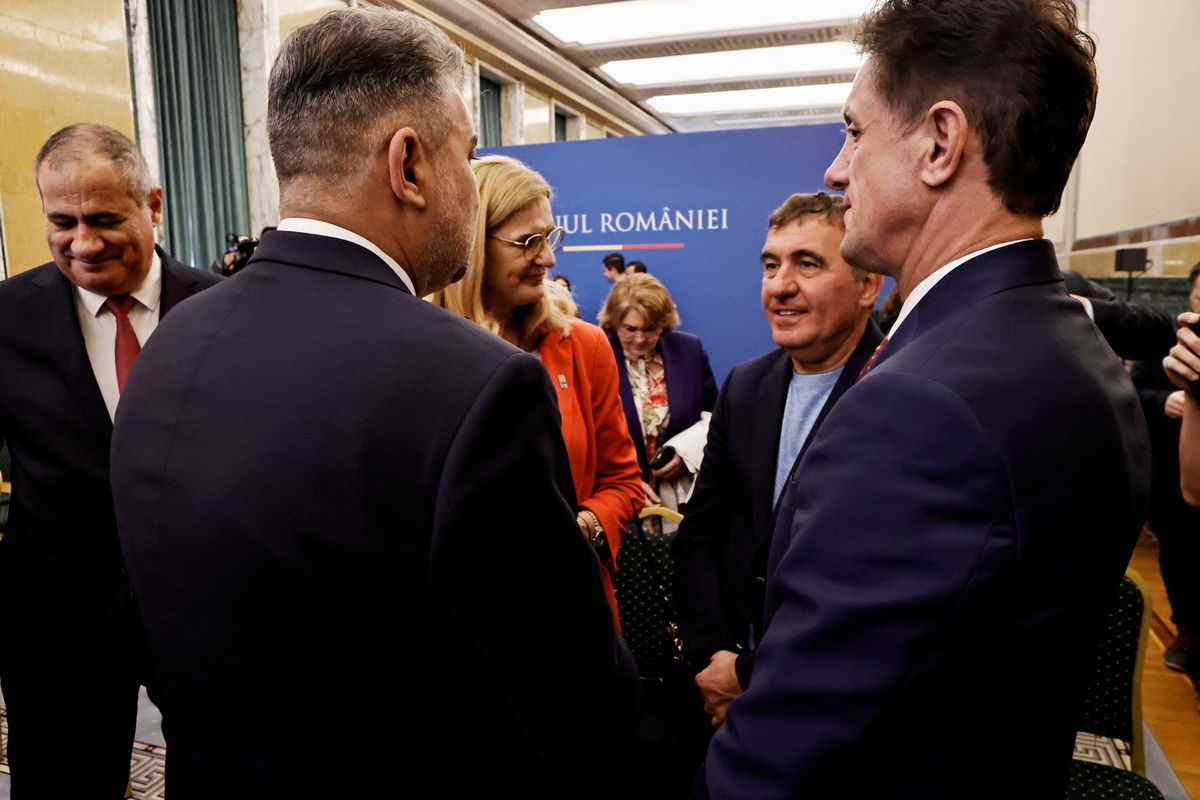 Undă verde de la Guvernul României pentru stadioanele de la Constanța și Pitești + Se face un patinoar la Sfântu Gheorghe