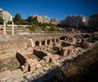 Forumul Roman din Salonic FOTO: Ionuț Iordache (GSP)