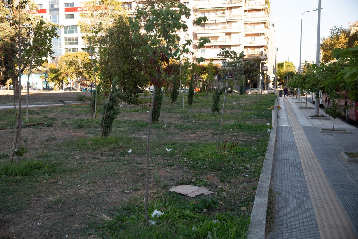 FCSB, avertisment pentru suporteri în ziua duelului cu PAOK » Ce sunt sfătuiți să NU facă în Salonic: „TREBUIE evitată”