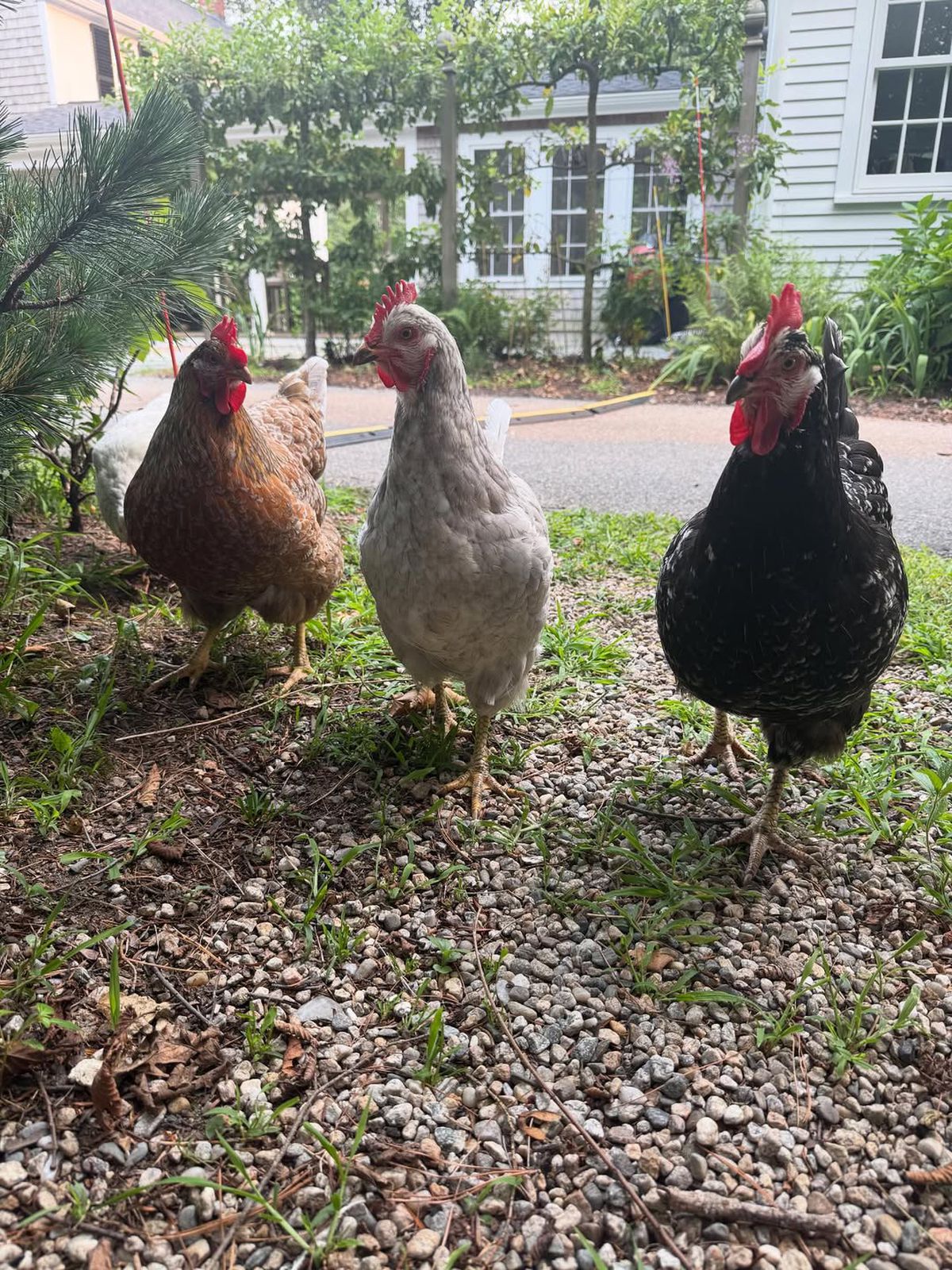 În urmă cu 3 ani juca finala Australian Open, acum își caută marea iubire pe aplicațiile de dating: „Dacă ești scund, nu-mi scrie!”