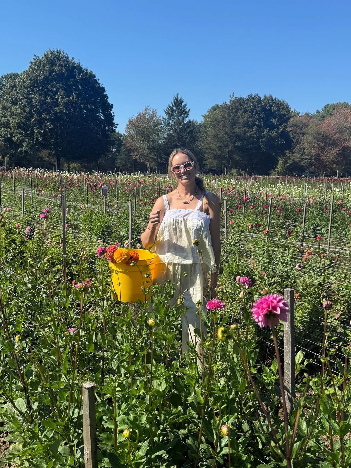 Danielle Collins. Foto: Instagram