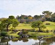 Parc în Japonia