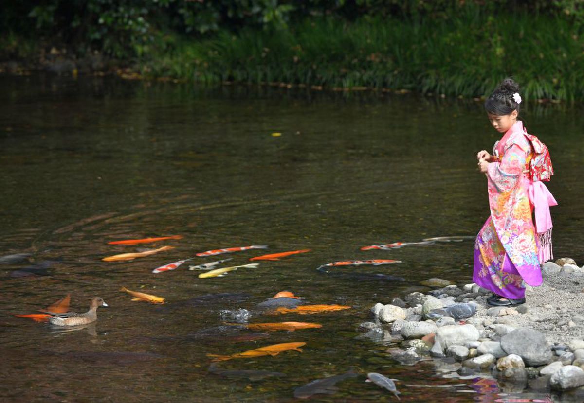 CORESPONDENȚĂ DIN JAPONIA // Elevii japonezi încurajează Senegalul în meciul cu România