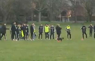 LIVERPOOL - SHEFFIELD UNITED // VIDEO Câinele buclucaș le-a stricat antrenamentul din parc jucătorilor lui Sheffield. O fi cu noroc? :))