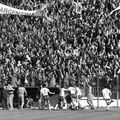 Imagine din România - Iugoslavia 4-6, disputat în noiembrie 1977
