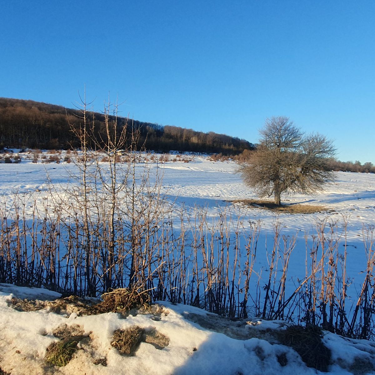 Zăpadă în Bulgaria, senin în Turcia