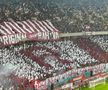 Scenografia suporterilor de la Rapid în meciul cu FCSB/ Foto: GSP