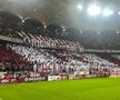 Scenografia suporterilor de la Rapid în meciul cu FCSB/ Foto: GSP