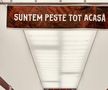 „Preview” pentru derby » Cu câteva ore înainte de Rapid - FCSB, rivalele s-au înfruntat și la juniori. Rezultate mixte