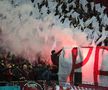 Scenografia suporterilor de la Rapid în meciul cu FCSB/ Foto: Ionuț Iordache GSP