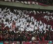 Scenografia suporterilor de la Rapid în meciul cu FCSB/ Foto: Ionuț Iordache GSP