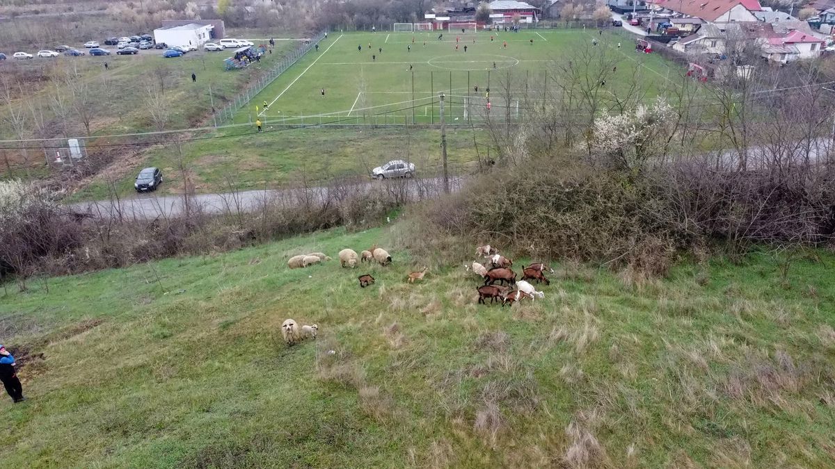 Aurică a lu' Purcaru din Adânca a jucat contra lui Dobrin! » Vedeta „Raj Kapur” a explicat cum se „antrenează”: „La cât am băut aseară, mă mir că mai sunt viu”