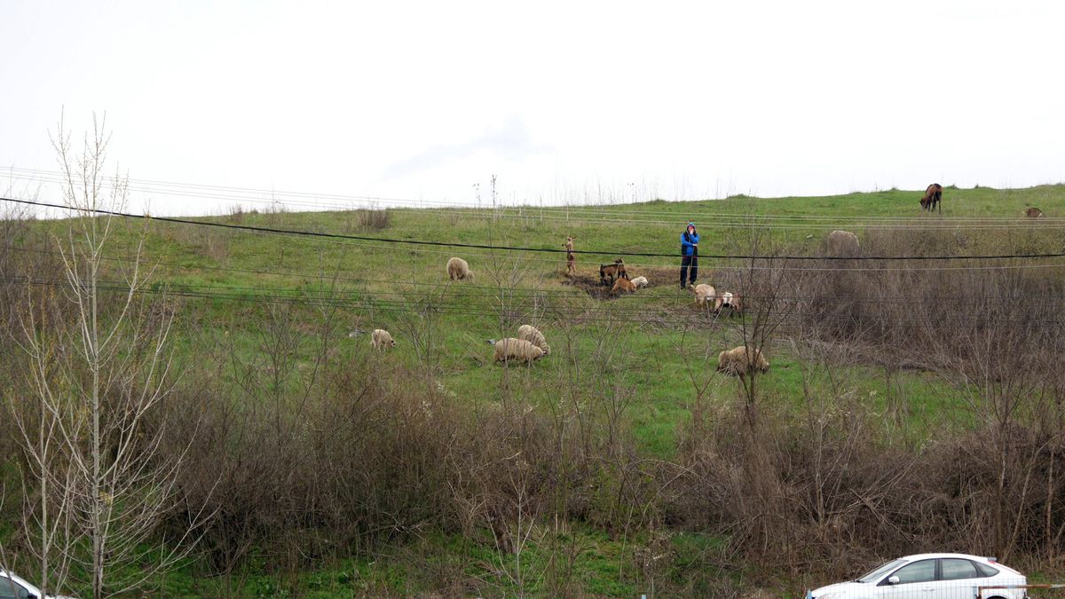 Aurică a lu' Purcaru din Adânca a jucat contra lui Dobrin! » Vedeta „Raj Kapur” a explicat cum se „antrenează”: „La cât am băut aseară, mă mir că mai sunt viu”