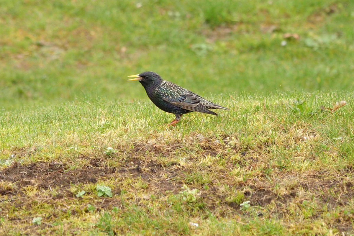 EXCLUSIV.  Hotel Melchior Park Würzburg