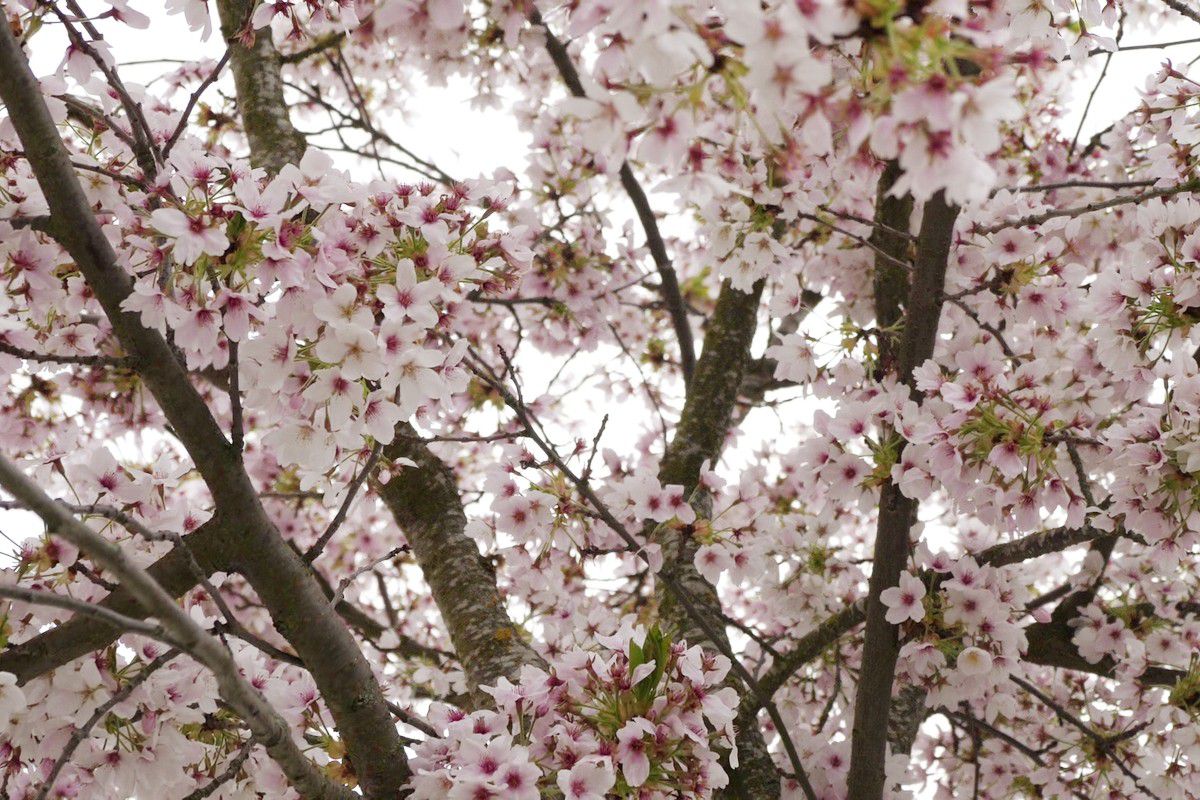 EXCLUSIV.  Hotel Melchior Park Würzburg