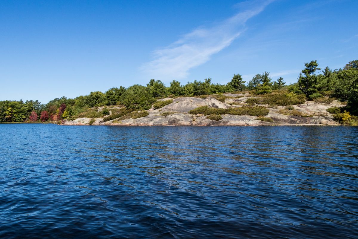 Mircea Sandu și-a cumpărat 3 apartamente în Monte Carlo » Cui le-a împărțit „Nașul”