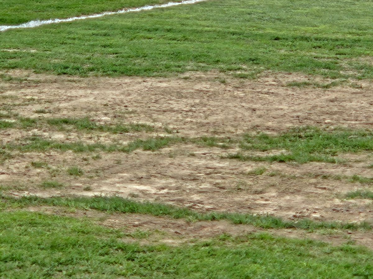 Cum arată gazonul de la Buzău, înainte de Metalul - Rapid