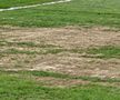 Cum arată gazonul de la Buzău, înainte de Metalul - Rapid