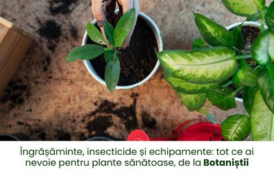 Îngrășăminte, insecticide și echipamente: tot ce ai nevoie pentru plante sănătoase, de la Botaniștii