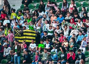 În Spania, se interzice consumul de semințe pe stadioane: „Atrage șobolanii!”