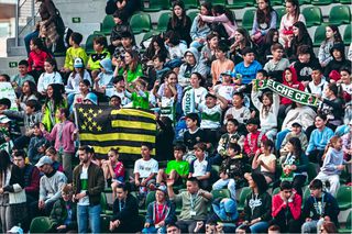 În Spania, se interzice consumul de semințe pe stadioane: „Atrage șobolanii!”