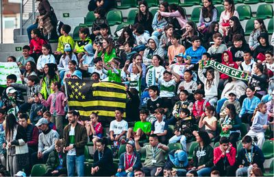 În Spania, se interzice consumul de semințe pe stadioane: „Atrage șobolanii!”