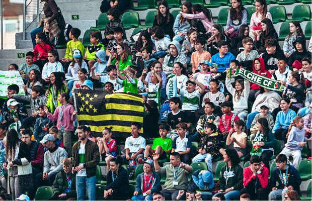 În Spania, se interzice consumul de semințe pe stadioane: „Atrage șobolanii!”