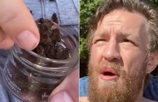 VIDEO Conor McGregor s-a filmat în timp ce mânca o albină moartă: „O, Doamne, ce naiba e asta?!”