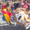 Capul unei păpuși cu chipul lui Jair Bolsonaro a fost lovit de protestatari, foto: Imago