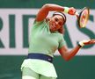 Mihaela Buzărnescu - Serena Williams. foto: Guliver/Getty Images