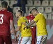 România - Georgia 
(foto: Cristi Preda/GSP)