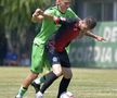 Imagini din amicalul Chiajna - Dinamo / Sursă foto: Cristi Preda (GSP)