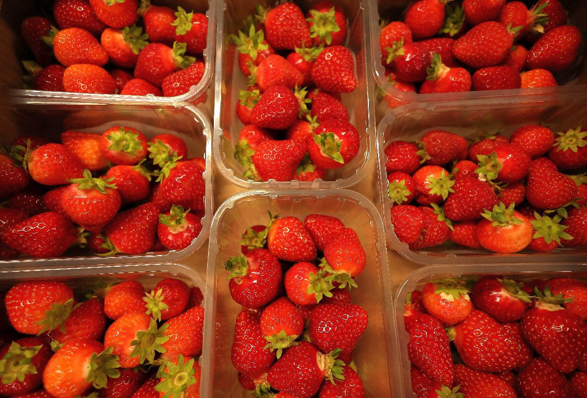 Controversă în prima de zi de la Wimbledon, cu moldoveanul Radu Albot în prim-plan: „E o glumă absolut ridicolă să faci asta!”