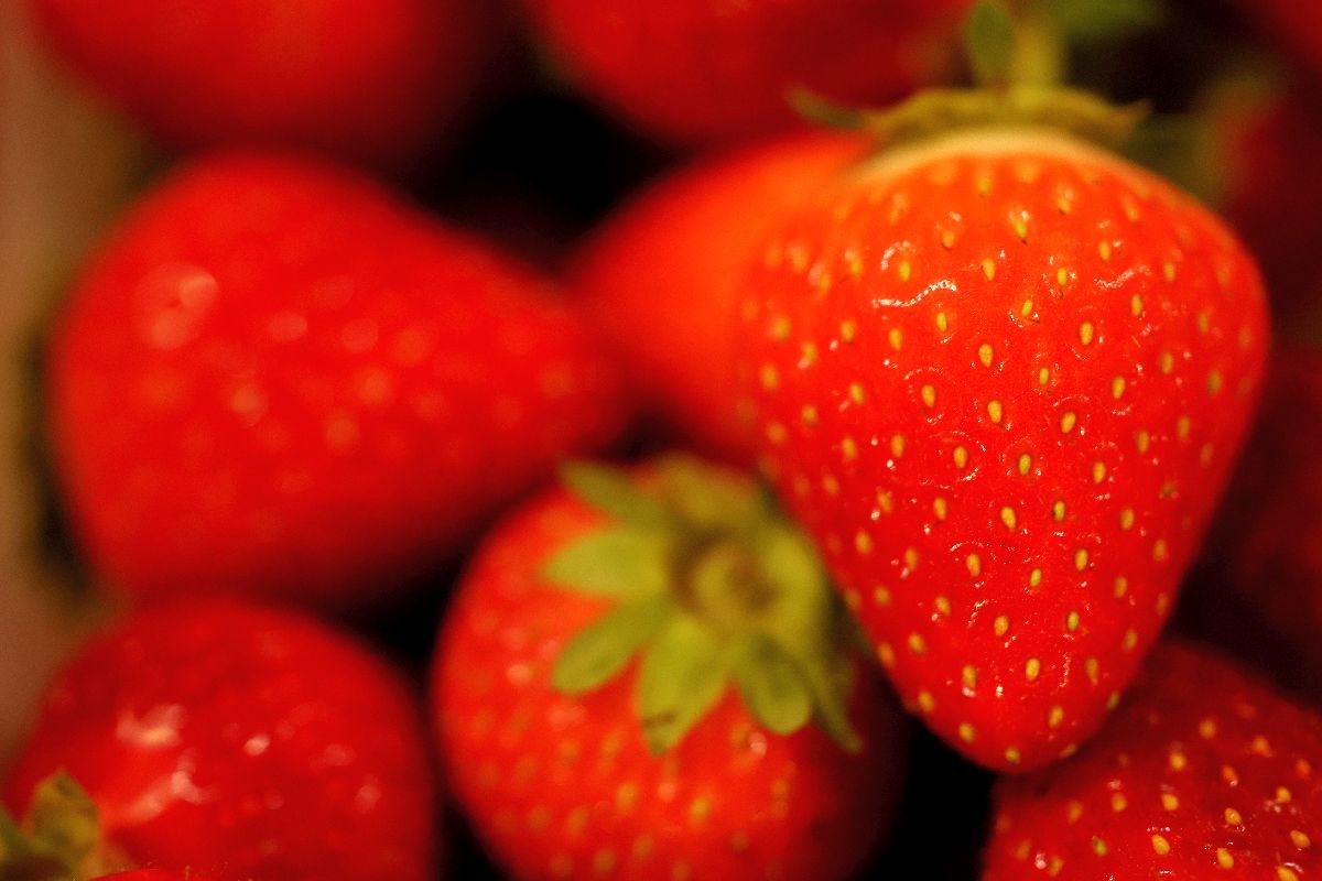 Wimbledon - tradiție, splendoare în iarbă și căpșuni