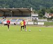 Dinamo - Zalaegerszeg, meci amical în cantonamentul din Slovenia