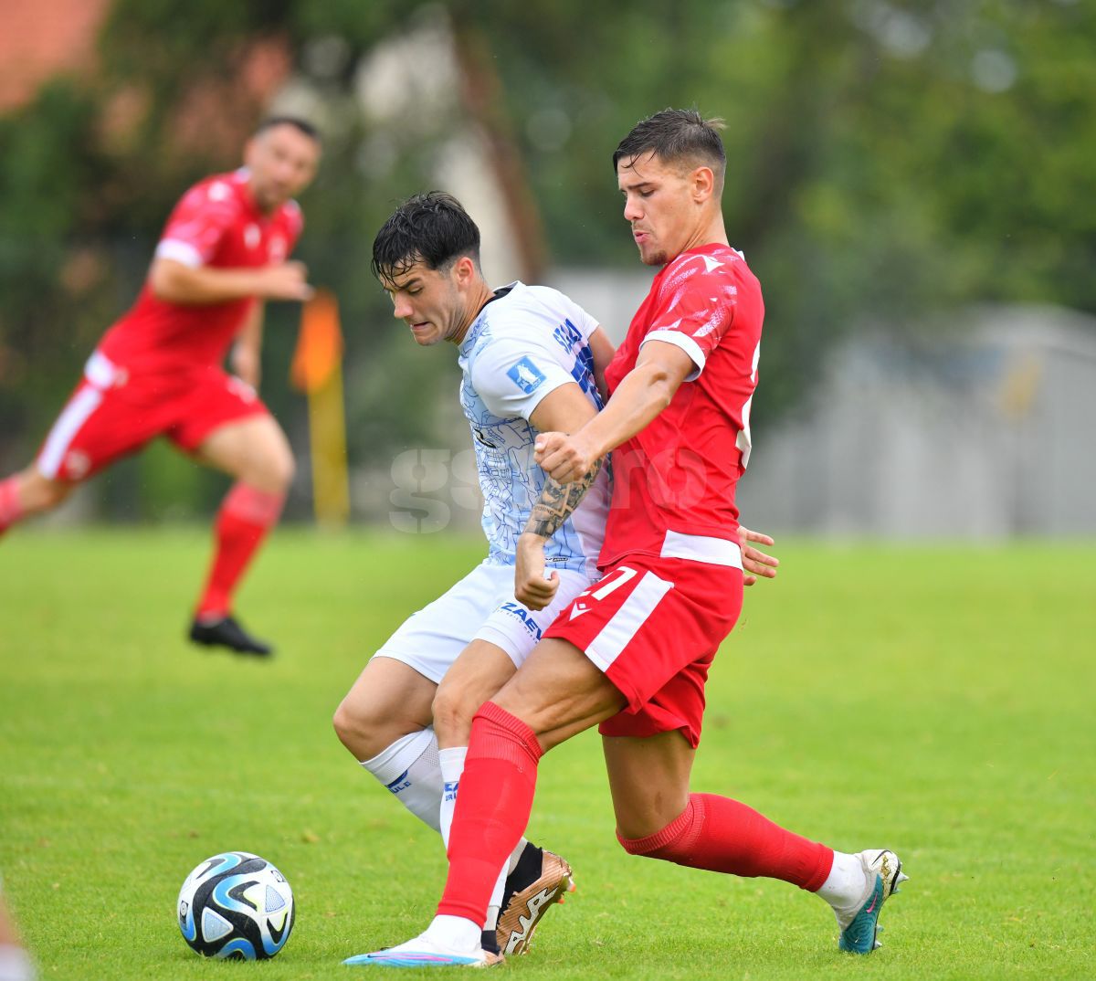 Dinamo - Zalaegerszeg, meci amical în cantonamentul din Slovenia
