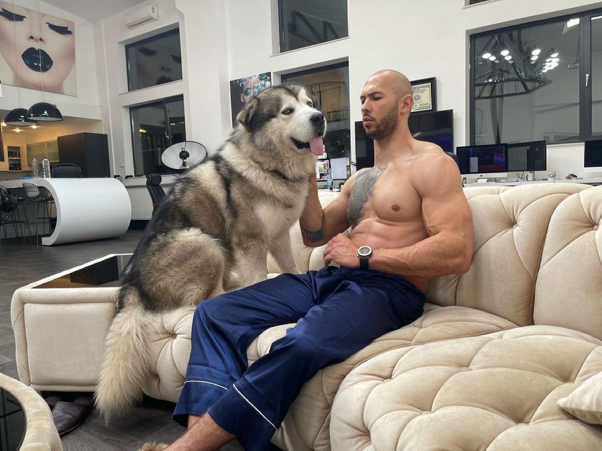 Piers Morgan a venit în România și s-a contrat cu Andrew Tate: „Nu cred că mai realizezi ce spui! Tu vrei ca femeile să fie sclave!” » Un dialog șocant despre Matrix, închisoare, misoginism și conspirații