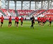 Conferinta CSKA Sofia - antrenament