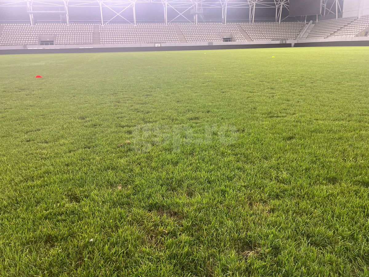 Gazon „Arcul de Triumf” înainte de FCSB - CSKA 1948 Sofia