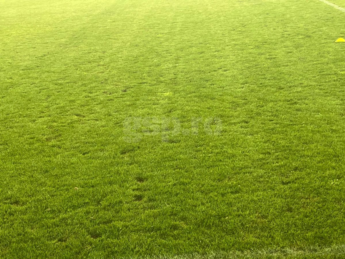 Gazon „Arcul de Triumf” înainte de FCSB - CSKA 1948 Sofia