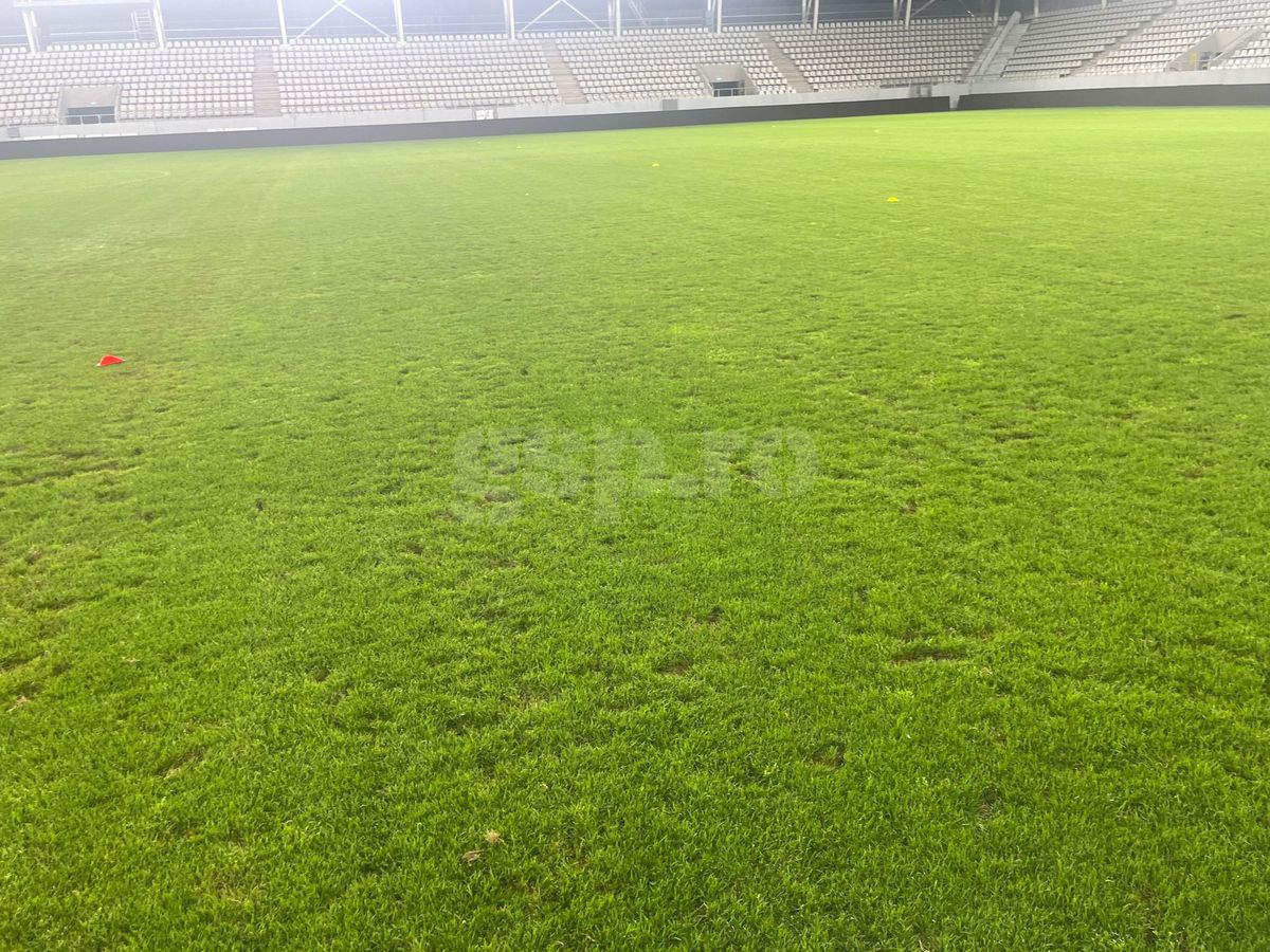 Gazon „Arcul de Triumf” înainte de FCSB - CSKA 1948 Sofia