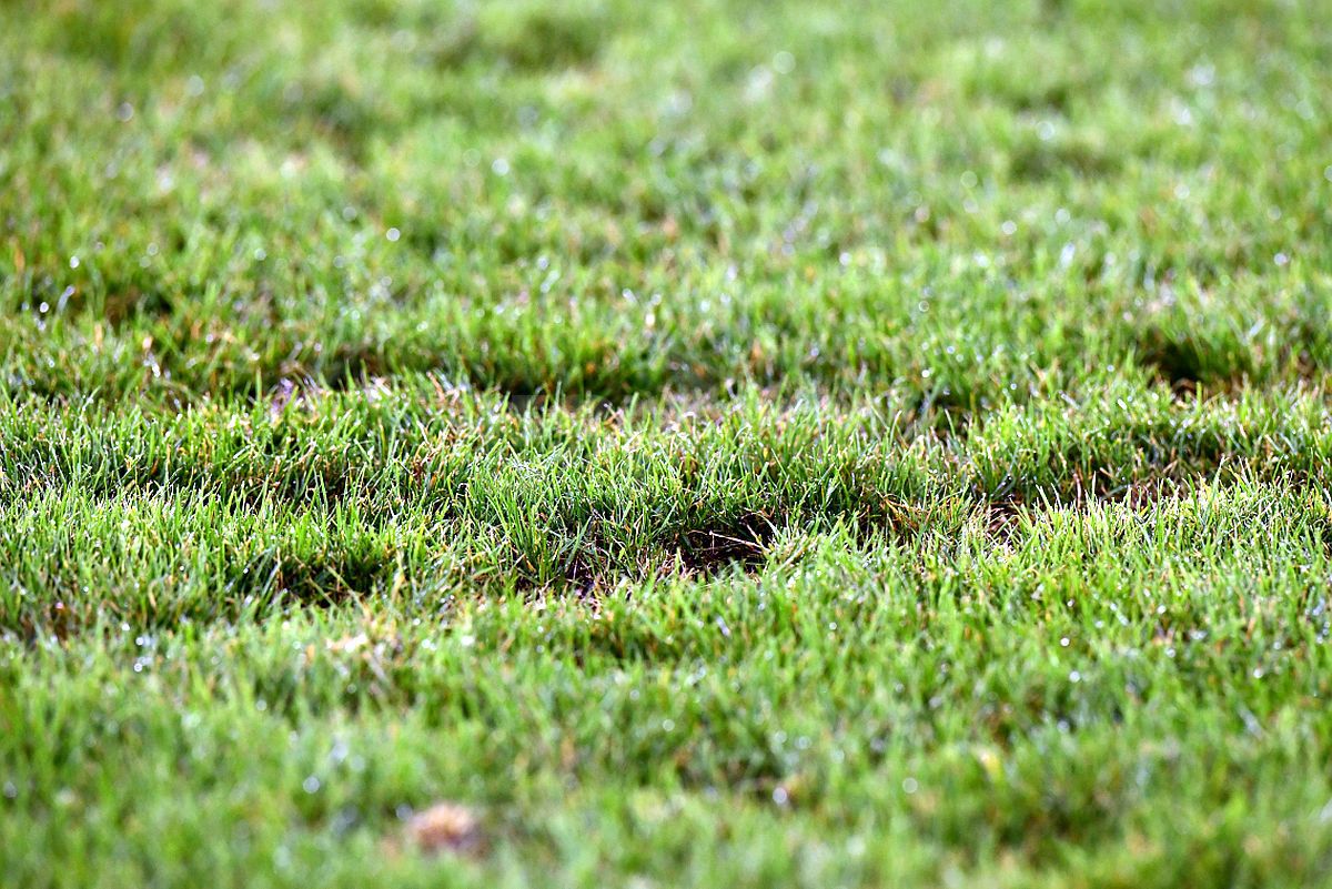 Încă un „adversar” pentru FCSB joi seara: gazonul de pe „Arc” arată deplorabil!