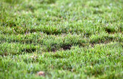 Încă un „adversar” pentru FCSB joi seara: gazonul de pe „Arc” arată deplorabil!