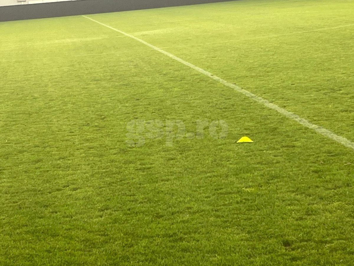 Gazon „Arcul de Triumf” înainte de FCSB - CSKA 1948 Sofia