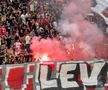 Scenografia fanilor dinamoviști la derby-ul cu FCSB / Foto: GSP