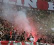 Fanii lui Dinamo la derby-ul cu FCSB / Foto: Ionuț Iordache GSP