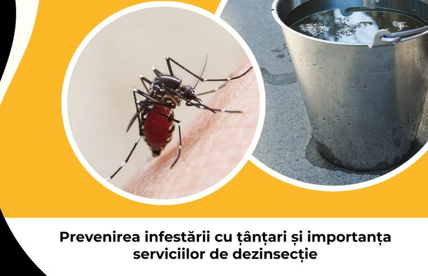Prevenirea infestării cu țânțari și importanța serviciilor de dezinsecție