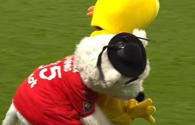 Duelul mascotelor în Rennes - Nantes » După un placaj ca la rugby mascota lui Nantes a fost luată cu targa